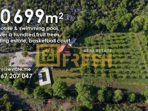 Prodaja, kuća, 10699m², Ostalo, Podgorica - image 5