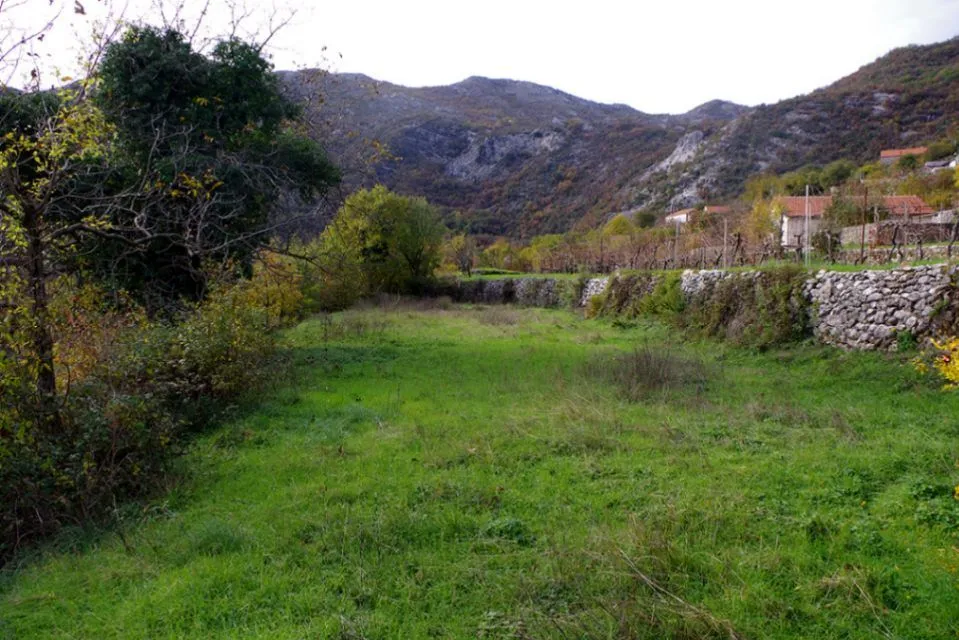 Prodaja, plac, 7000m², Dobrsko Selo, Cetinje