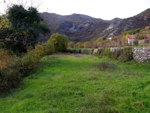 Prodaja, plac, 7000m², Dobrsko Selo, Cetinje - image 3