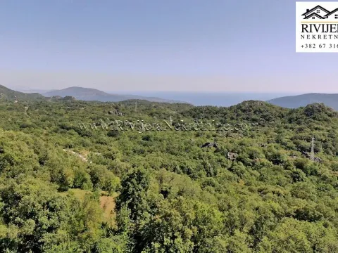 Prodaja, plac, 7294m², Mokrine, Herceg Novi - image 8