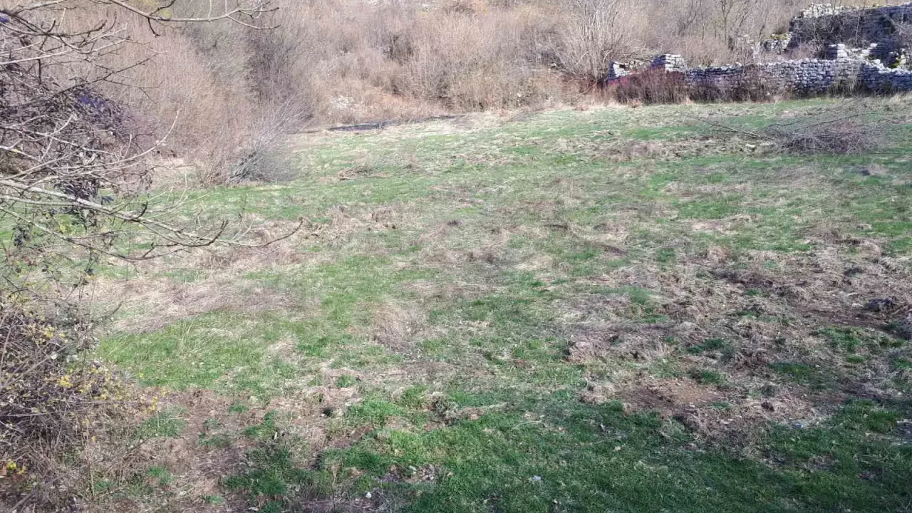 Prodaja, plac, 93700m², Kotor, Crna Gora