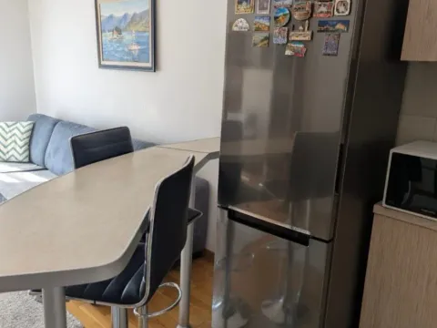 Izdavanje, garsonjera, 30m², Tuški Put, Podgorica - image 8