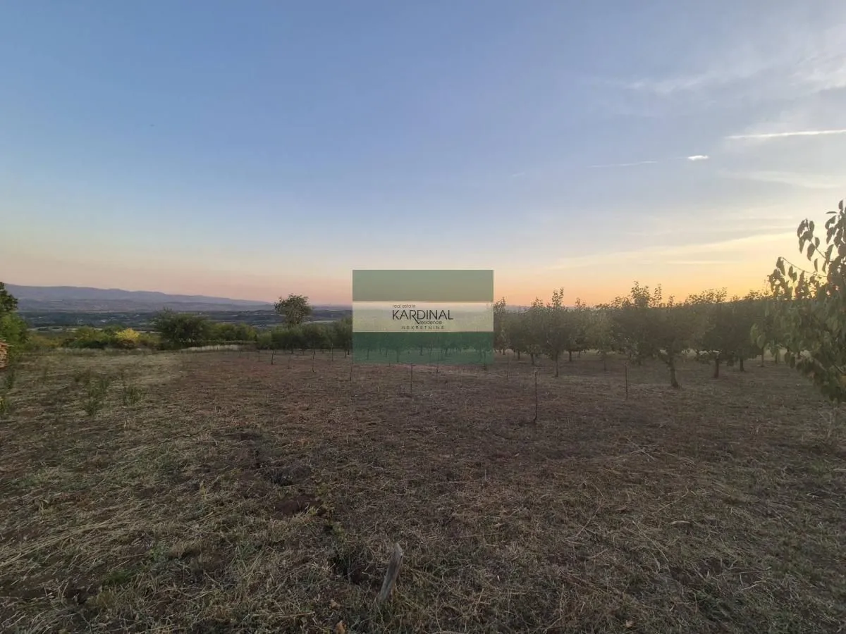Prodaja, plac, 27920m², Siokovac, Jagodina