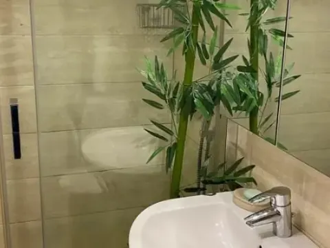 Izdavanje, dvosoban stan, 54m², Novi Beograd Sve Podlokacije, Beograd - image 8