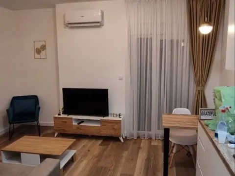 Rent, one bedroom apartment, 27m², Zabjelo, Podgorica - image 2