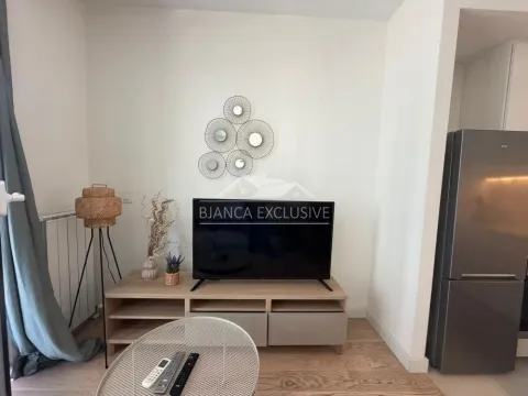 Pogled na deo dnevnog boravka sa televizorom i dekorativnim elementima. - image 8
