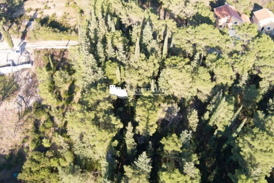 Sale, land lot, 960m², Mojdež, Herceg Novi