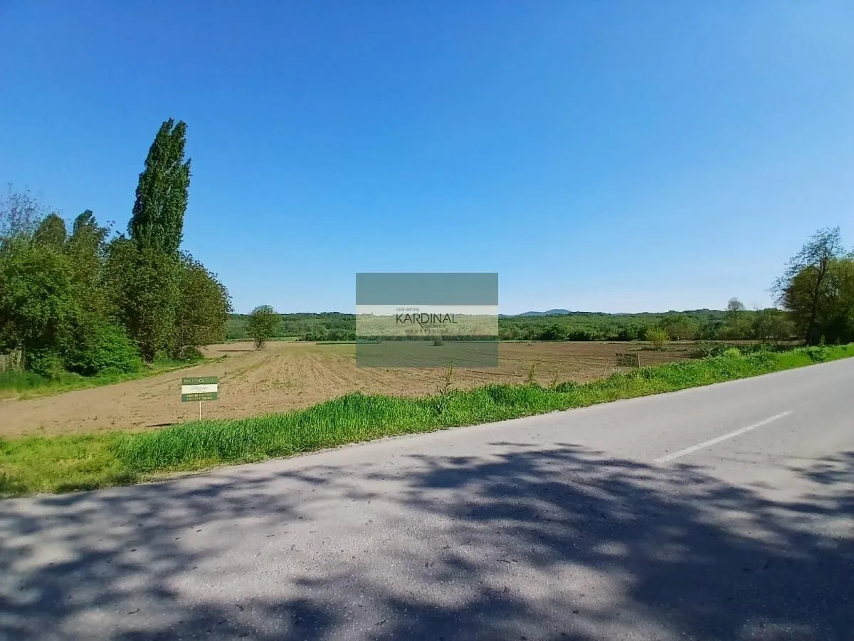 Prodaja, plac, 16009m², Dragocvet, Jagodina