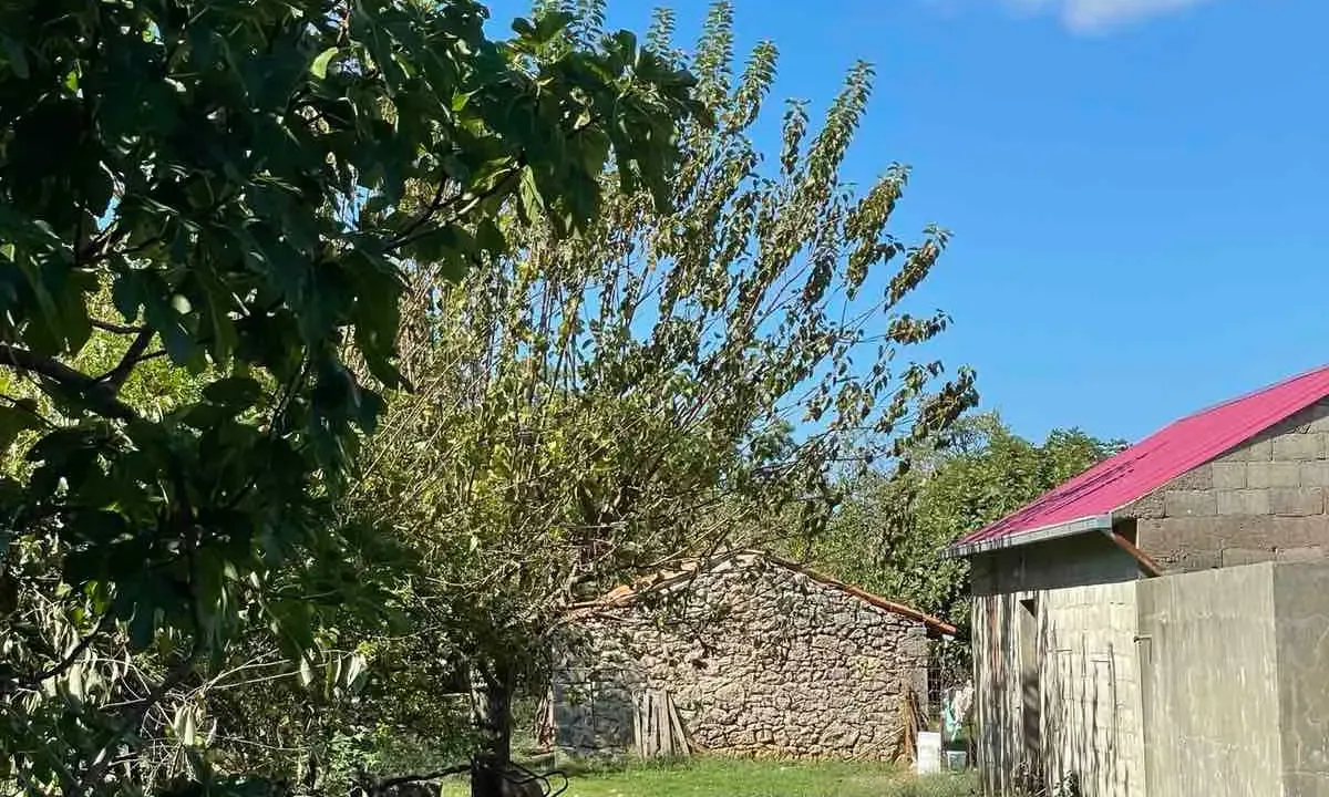 Prodaja, plac, 50000m², Bar, Crna Gora