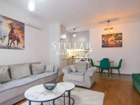 Izdavanje, jednosoban stan, 56m², 1 maj, Podgorica - image 3
