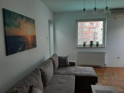 Izdavanje, dvosoban stan, 45m², Betanija, Novi Sad Sve Podlokacije - image 2