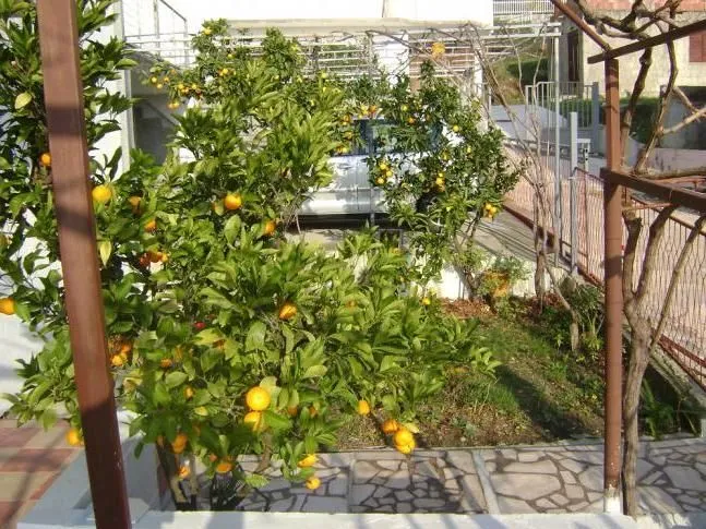 Sale, house, 230m², Šušanj, Bar