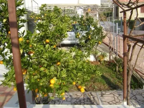 Sale, house, 230m², Šušanj, Bar - image 4