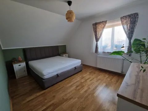 Sale, house, 230m², Temerin, Novi Sad - image 11