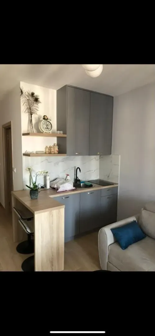 Small kitchen with grey cabinets and an attached breakfast bar.