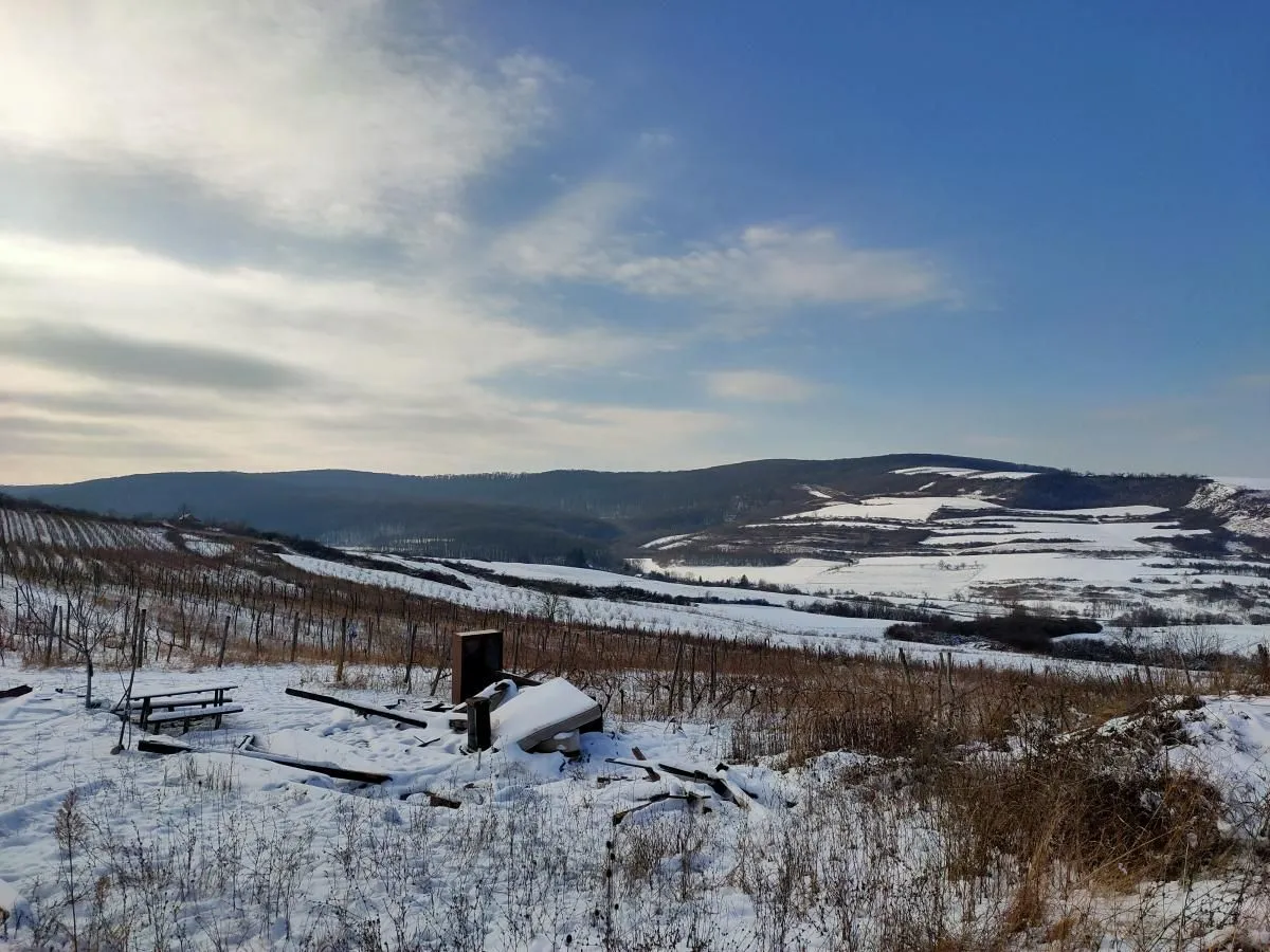Prodaja, plac, 300m², Beočin, Srbija