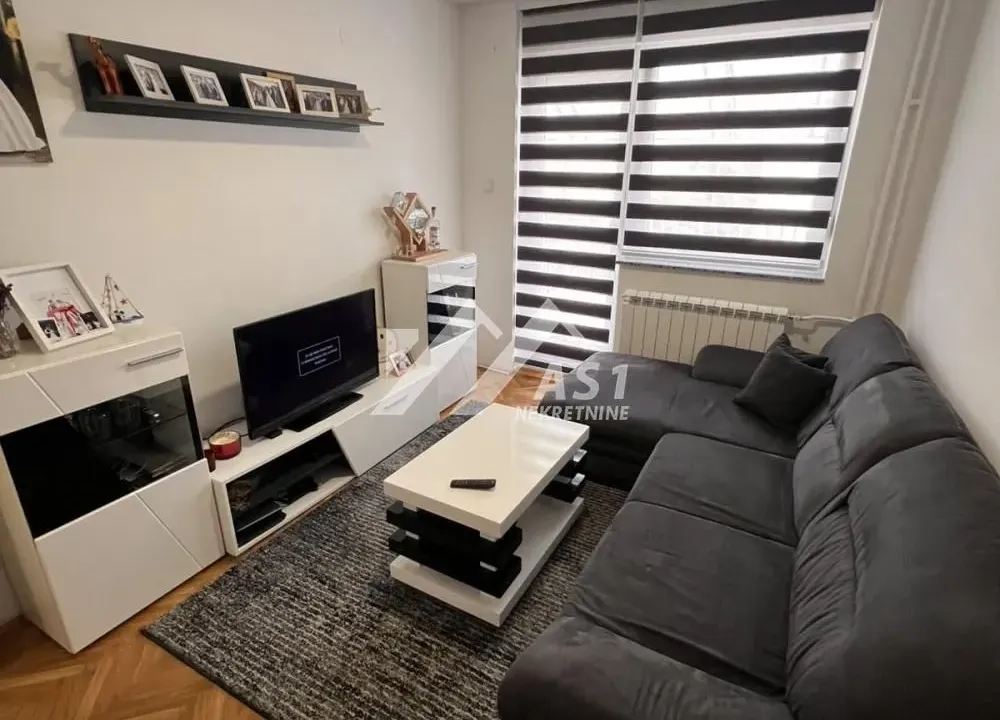 Izdavanje, dvosoban stan, 47m², Centar, Novi Sad