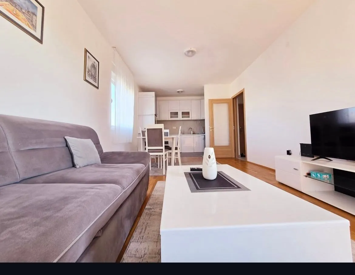 Izdavanje, jednosoban stan, 50m², Stari Aerodrom, Podgorica