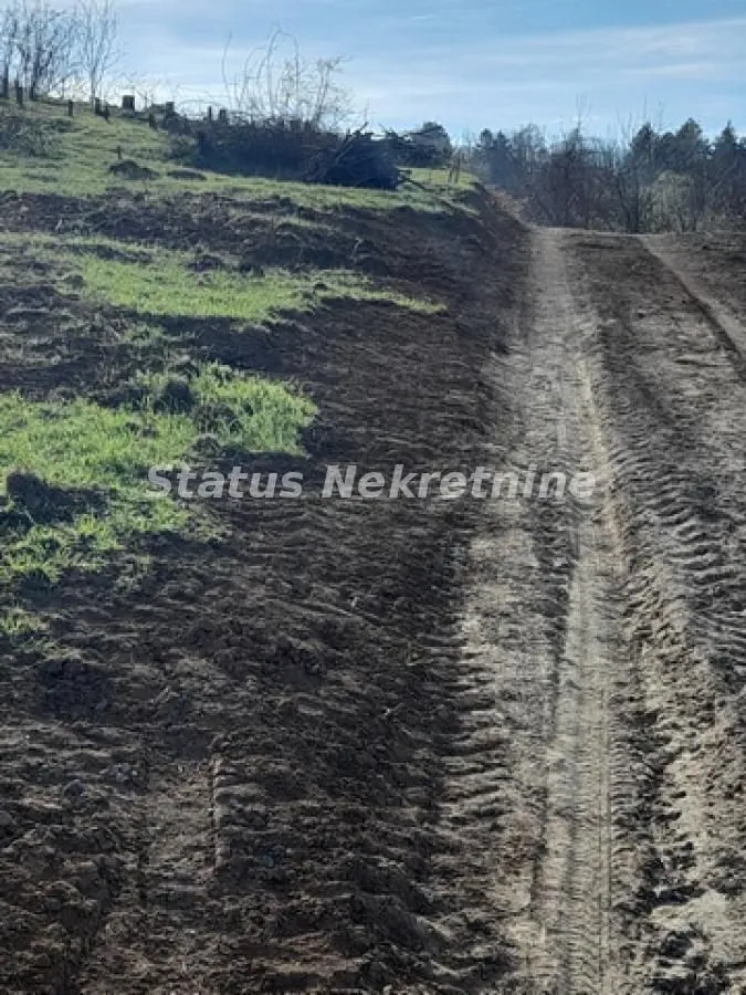 Prodaja, plac, 1630m², Sremska Kamenica, Petrovaradin