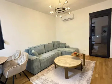 Rent, one bedroom apartment, 45m², Zabjelo, Podgorica - image 2