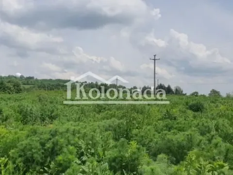 Prodaja, plac, 12918m², Voždovac Sve Podlokacije, Beograd - image 9