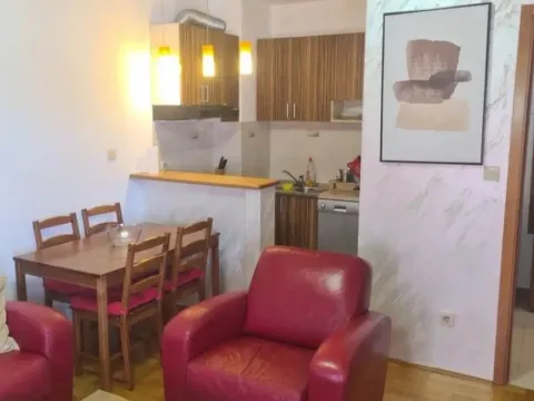 Rent, one bedroom apartment, 45m², Autobuska stanica, Podgorica - image 4