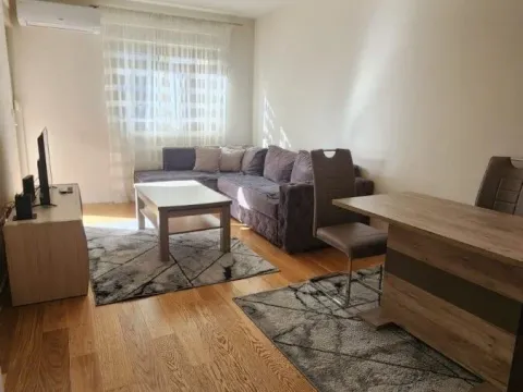 Izdavanje, jednosoban stan, 49m², Central Point, Podgorica - image 1