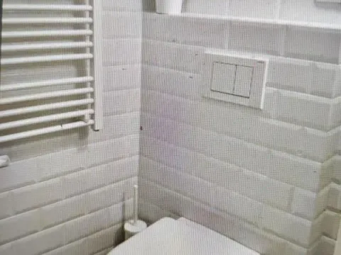 Izdavanje, trosoban stan, 55m², Vračar Hram, Vračar Sve Podlokacije - image 3