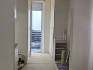 Izdavanje, dvosoban stan, 55m², Botanička Bašta, Palilula Sve Podlokacije - image 7