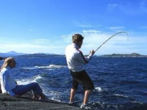 Izdavanje, jednosoban stan, 28m², Sutomore, Bar - image 14