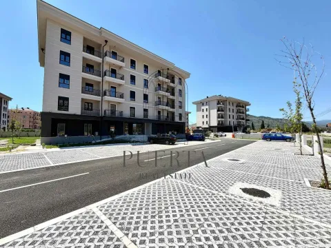 Stan in Tološi