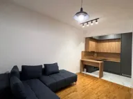 Rent, one bedroom apartment, 47m², Zabjelo, Podgorica - image 4