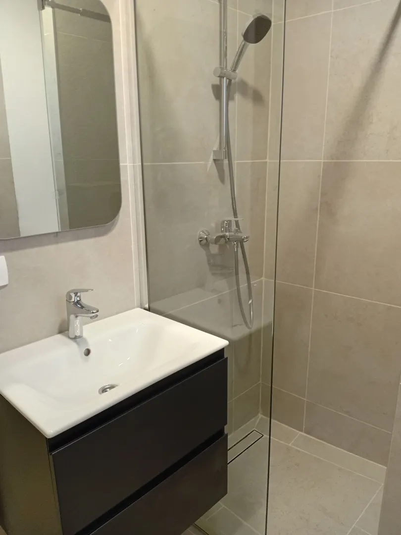 Moderno opremljeno kupatilo sa umivaonikom i tuš kabinom.