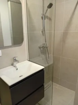Moderno opremljeno kupatilo sa umivaonikom i tuš kabinom. - image 11