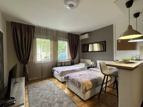 Rent, one bedroom apartment, 25m², Vračar Sve Podlokacije, Beograd - image 3