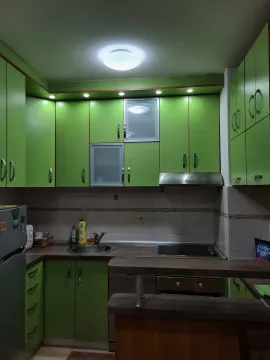 A functional kitchen with green cabinets and built-in appliances. - image 6