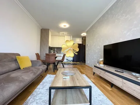 Izdavanje, jednosoban stan, 50m², Ljubović, Podgorica - image 10