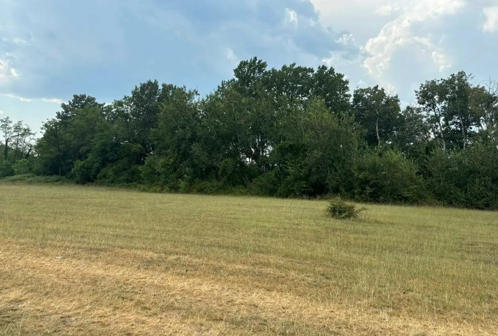 Prodaja, plac, 16995m², Danilovgrad, Crna Gora