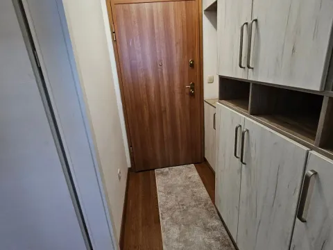 Izdavanje, stan, 30m², Centar, Podgorica - image 4