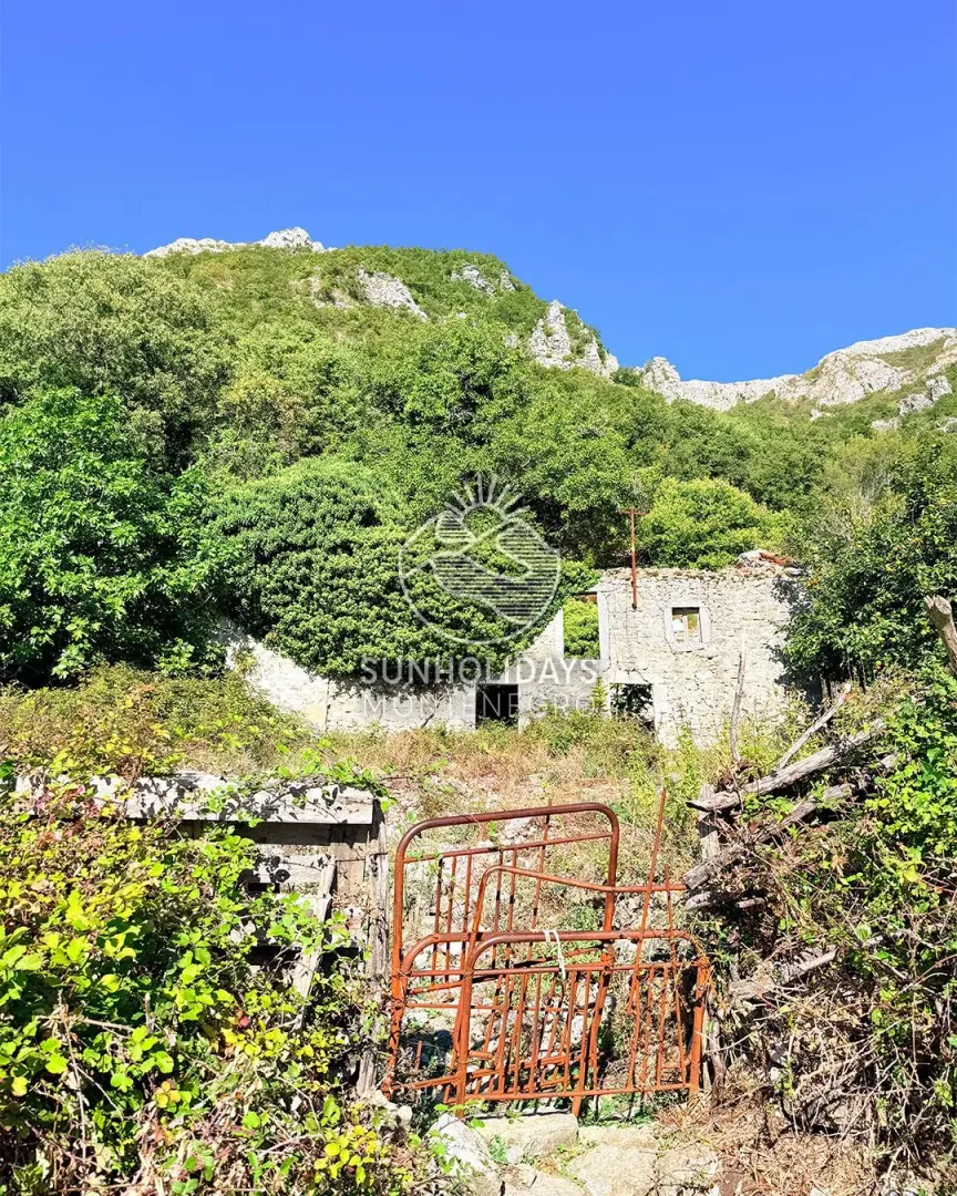 Ruševna kamena kuća u prirodi sa zaraslim dvorištem.