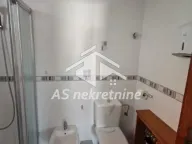 Izdavanje, kuća, 360m², Voždovac Sve Podlokacije, Beograd - image 20