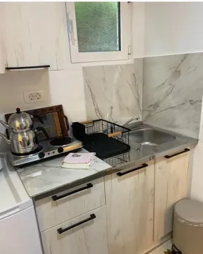 Smaller kitchen with a sink, cabinetry, and a small hot plate. - image 3