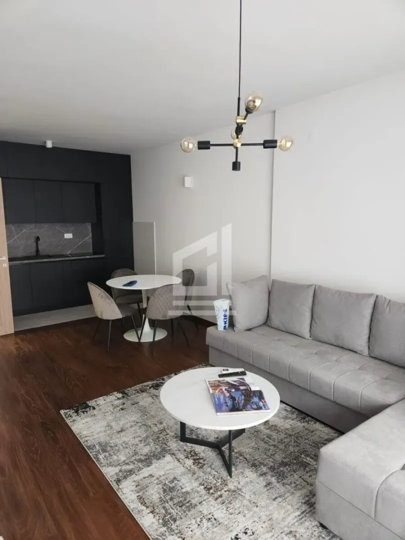 Rent, one bedroom apartment, 50m², Master Kvart, Podgorica
