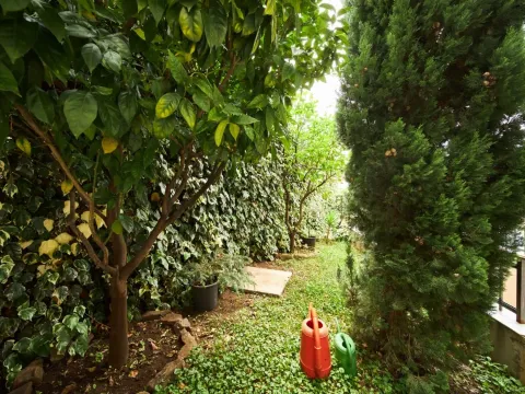 Prodaja, kuća, 495m², Ivanovići, Budva - image 10