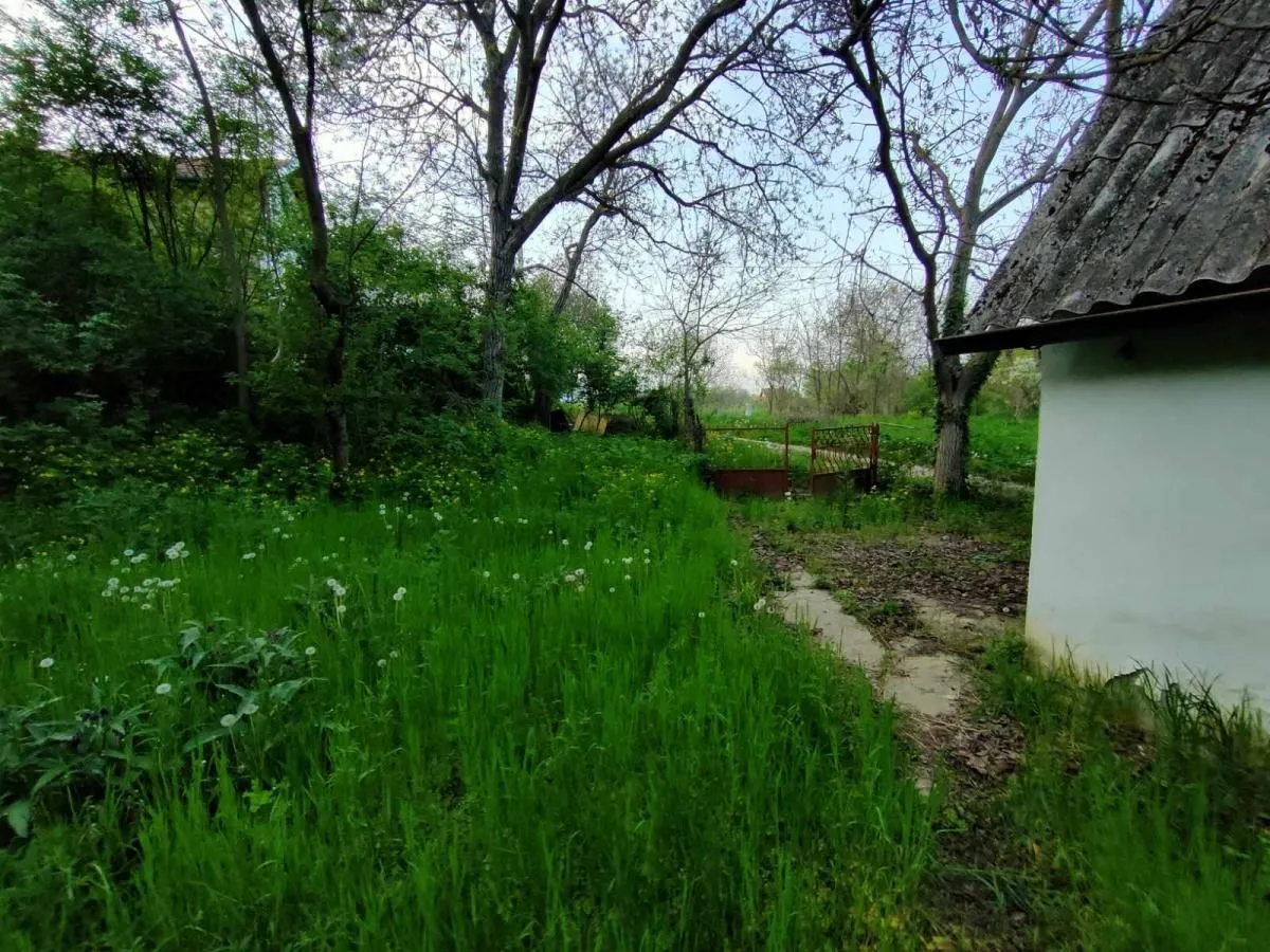 Prodaja, kuća, 37m², Čerević, Beočin