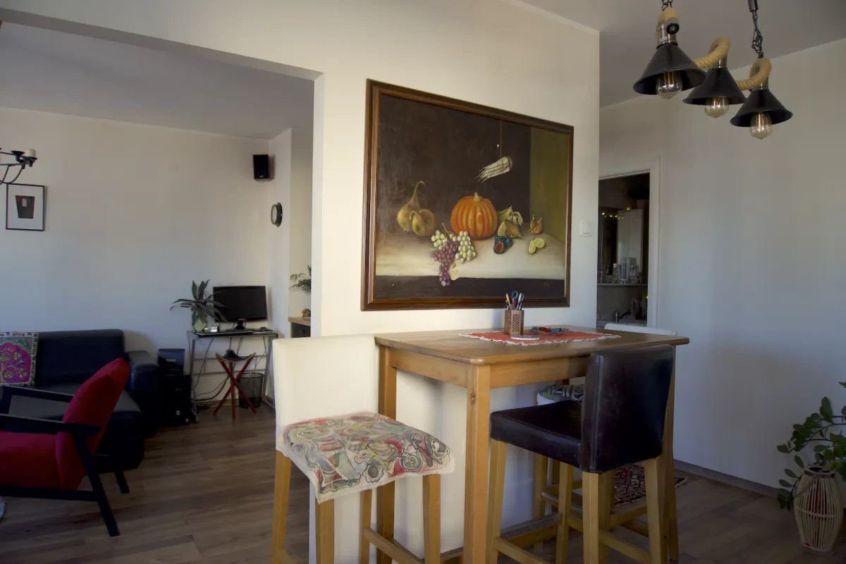 Prodaja, dvosoban stan, 55m², Banatić, Novi Sad Sve Podlokacije