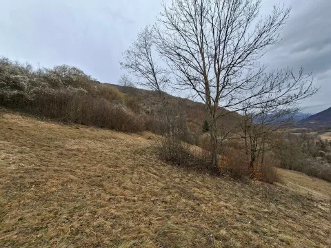Prodaja, plac, 6000m², Centar, Plav - image 8