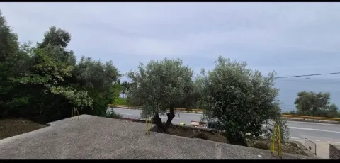 Pogled na more i okolno zelenilo sa placa. - image 4