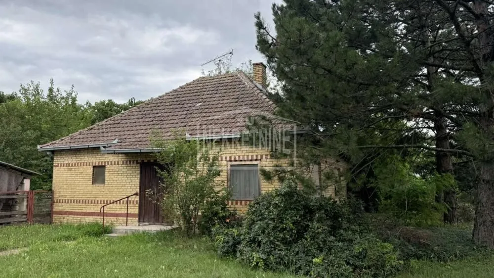 Prodaja, plac, 10000m², Mala Bosna, Subotica