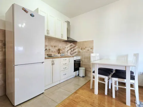 Izdavanje, jednosoban stan, 46m², Stari Aerodrom, Podgorica - image 5